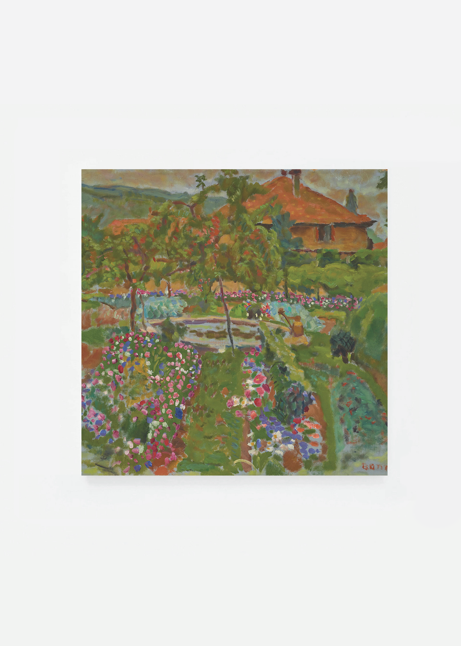 Les fleurs du potager