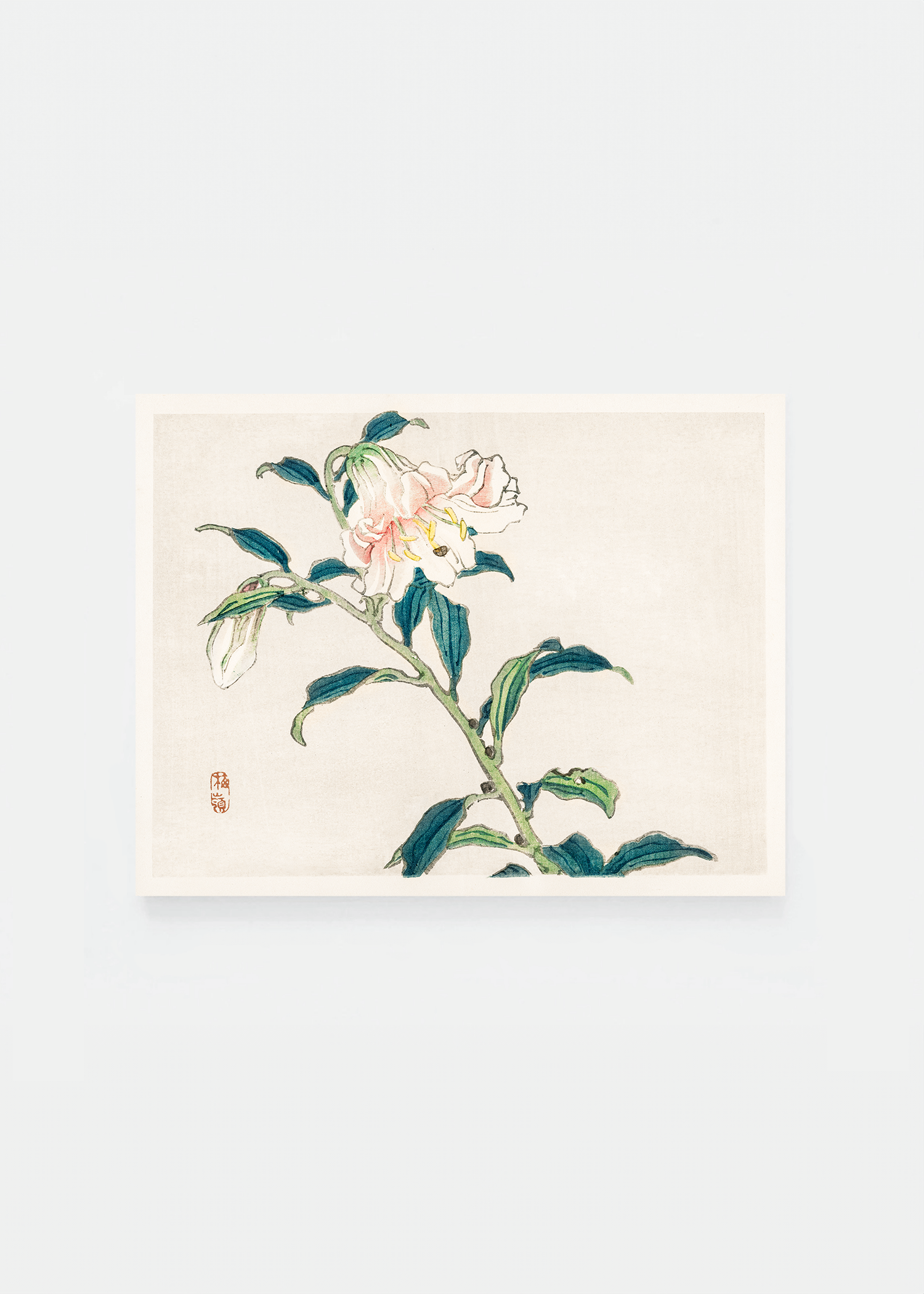 Lily