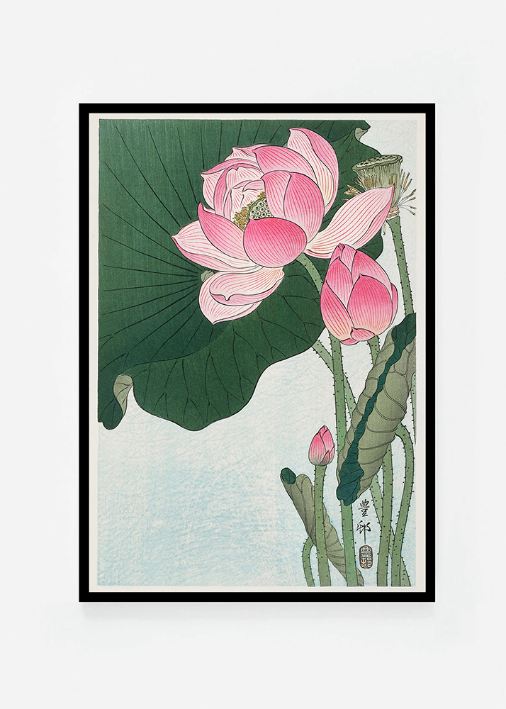 Lotus