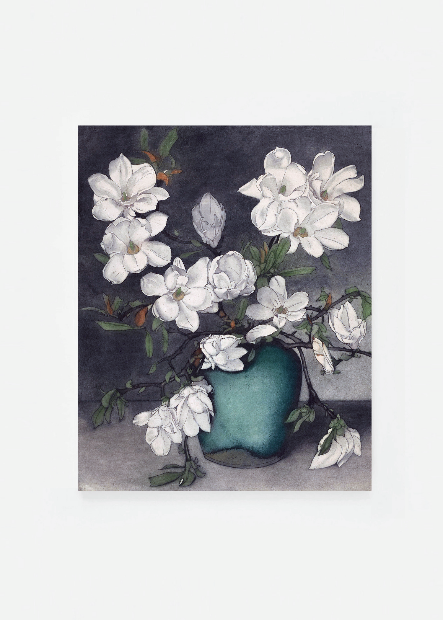 Magnolia