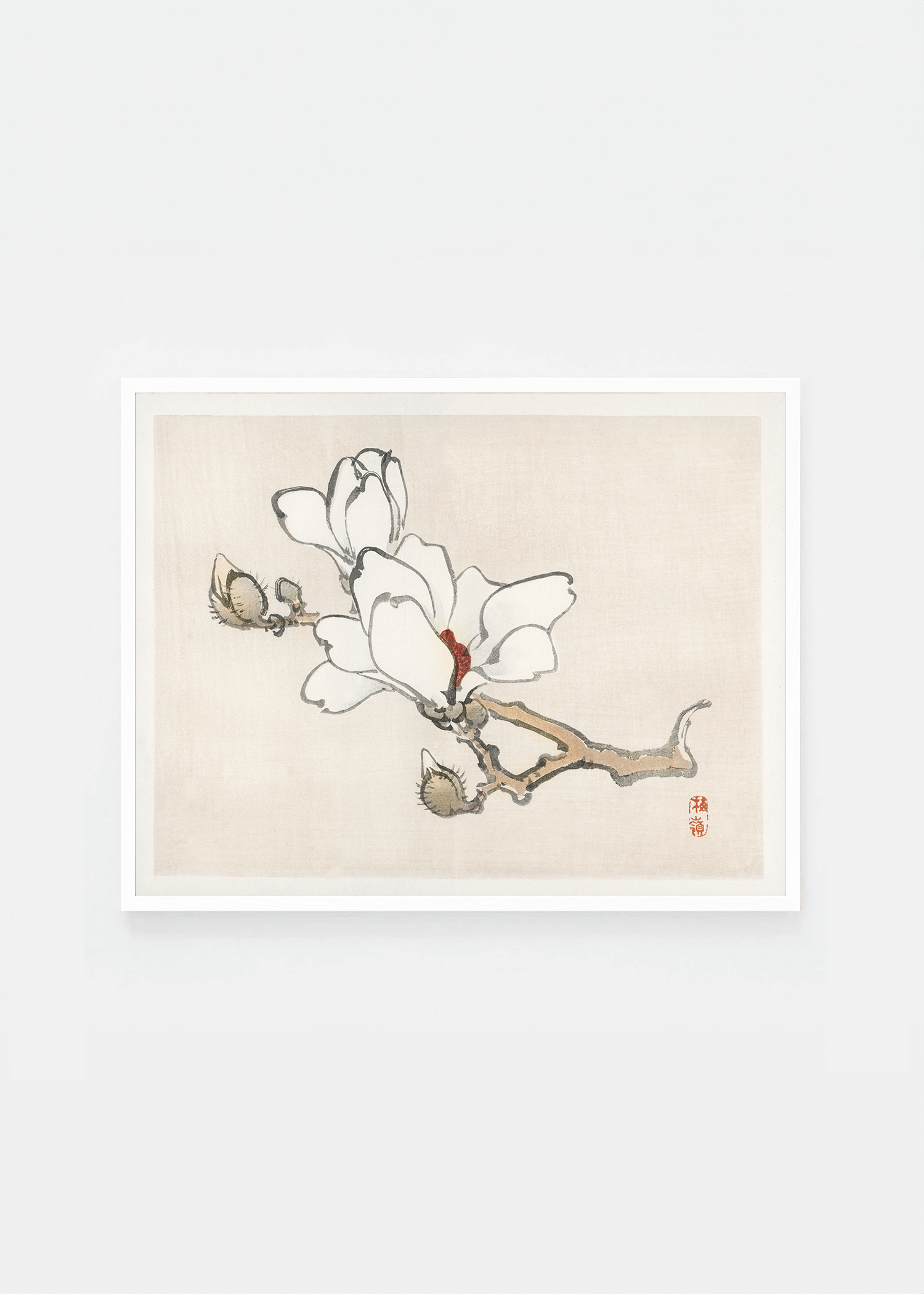 Magnolia