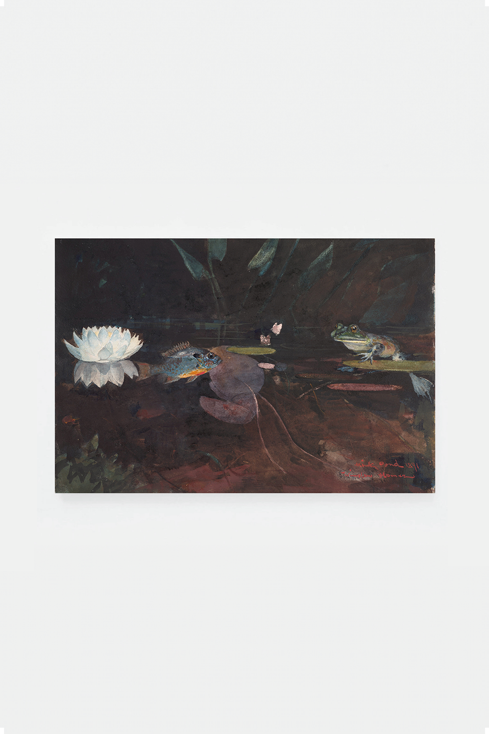 Mink pond