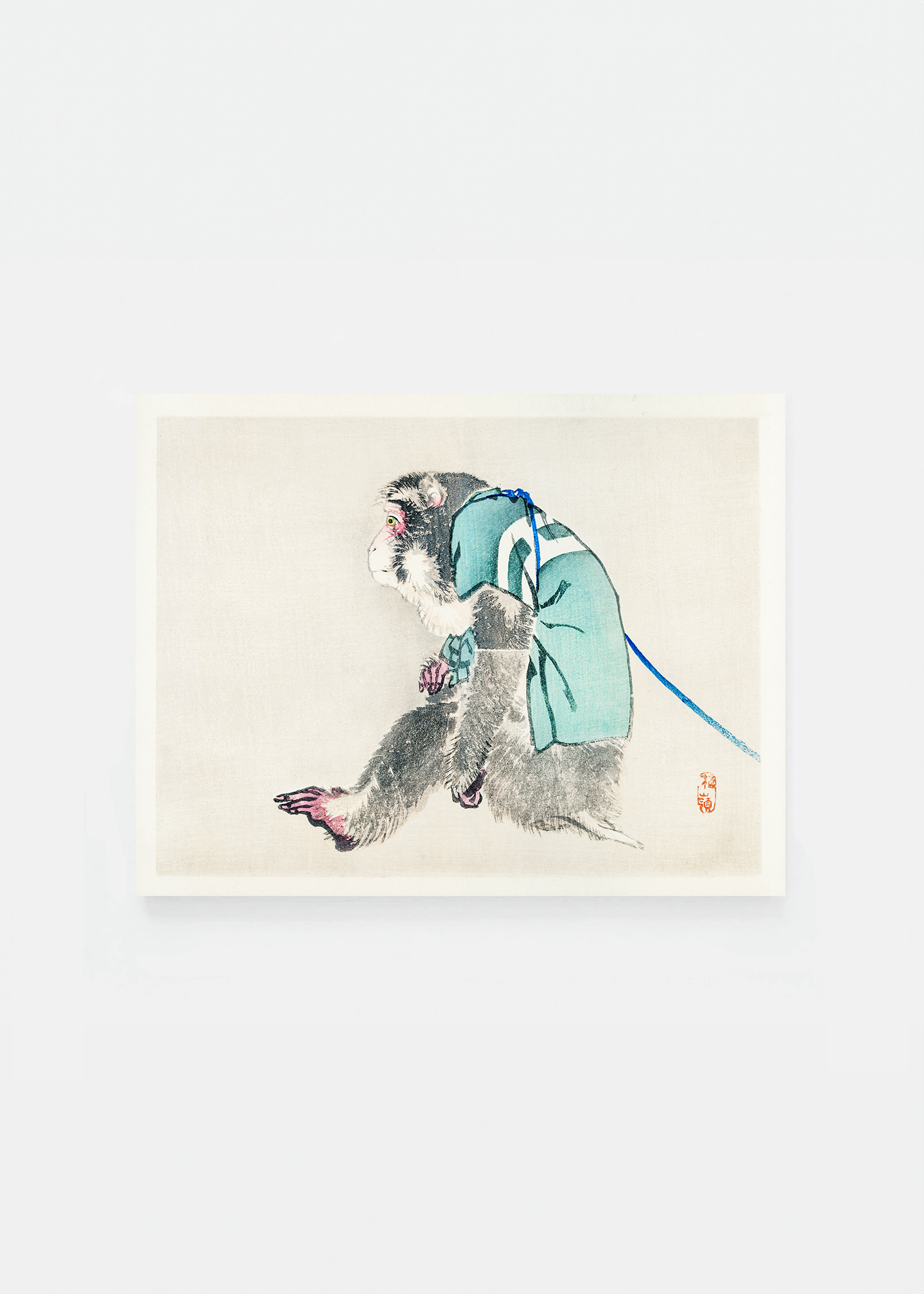Monkey