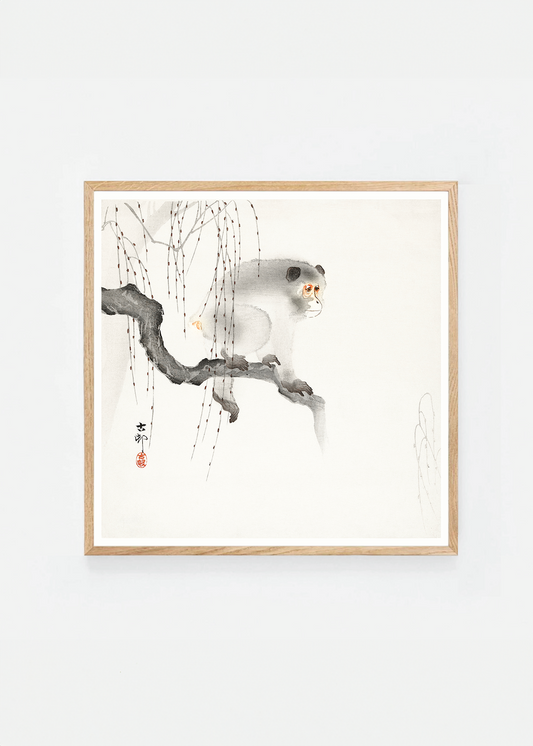 Monkey on a tree