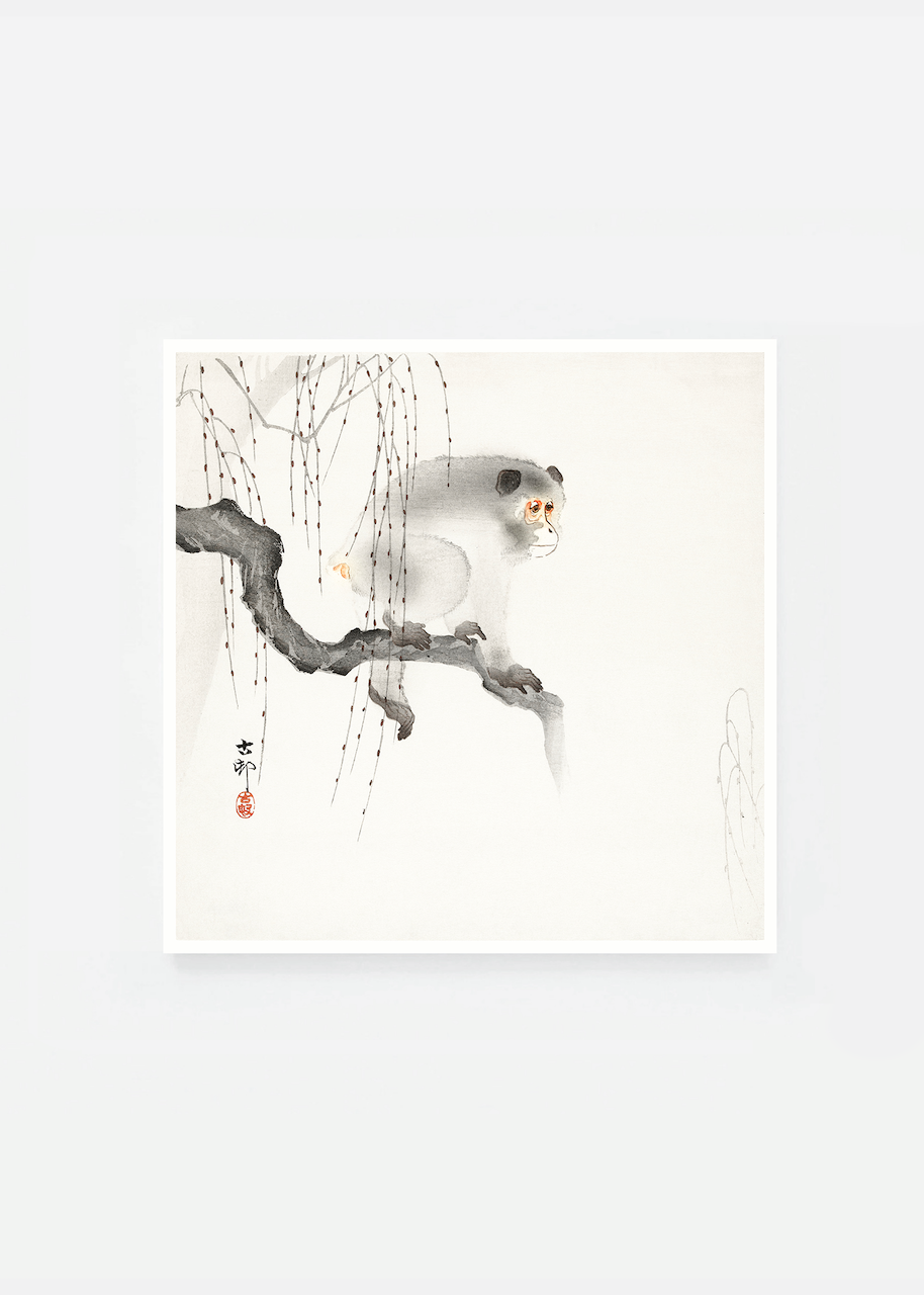Monkey on a tree