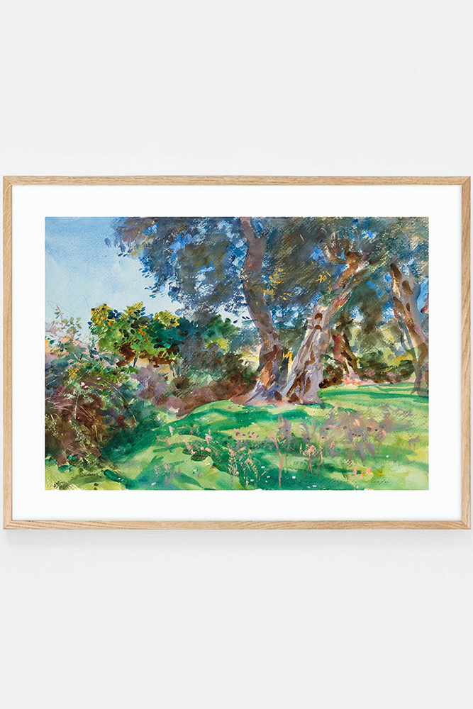 Olive Trees, Corfu