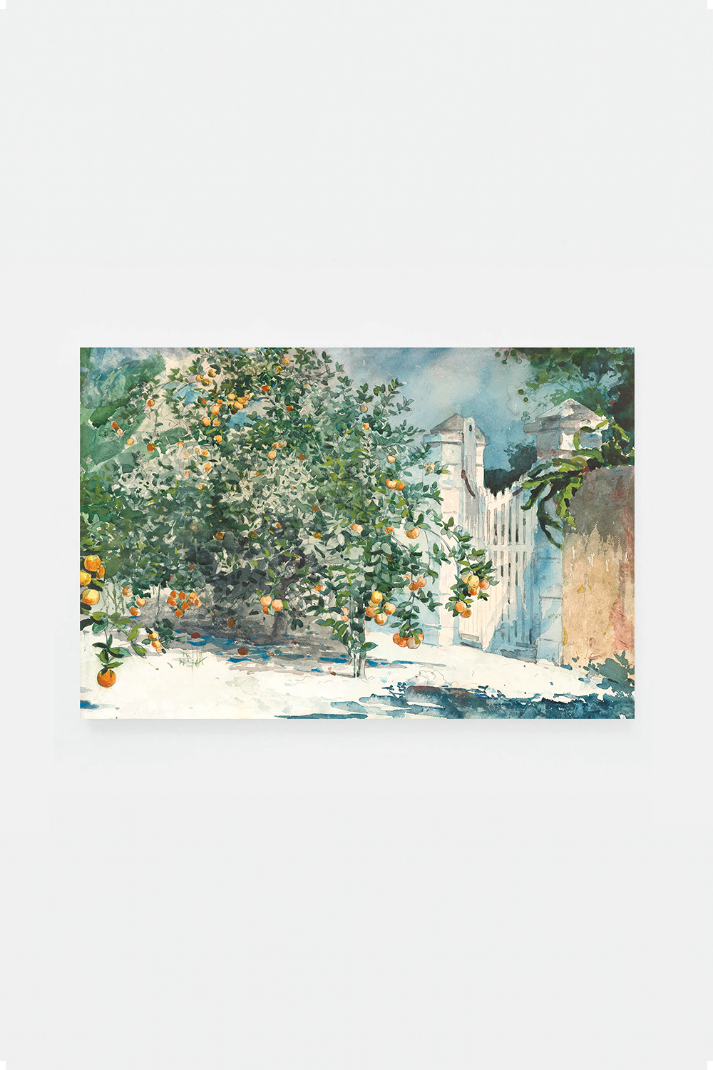 Orange trees and gate