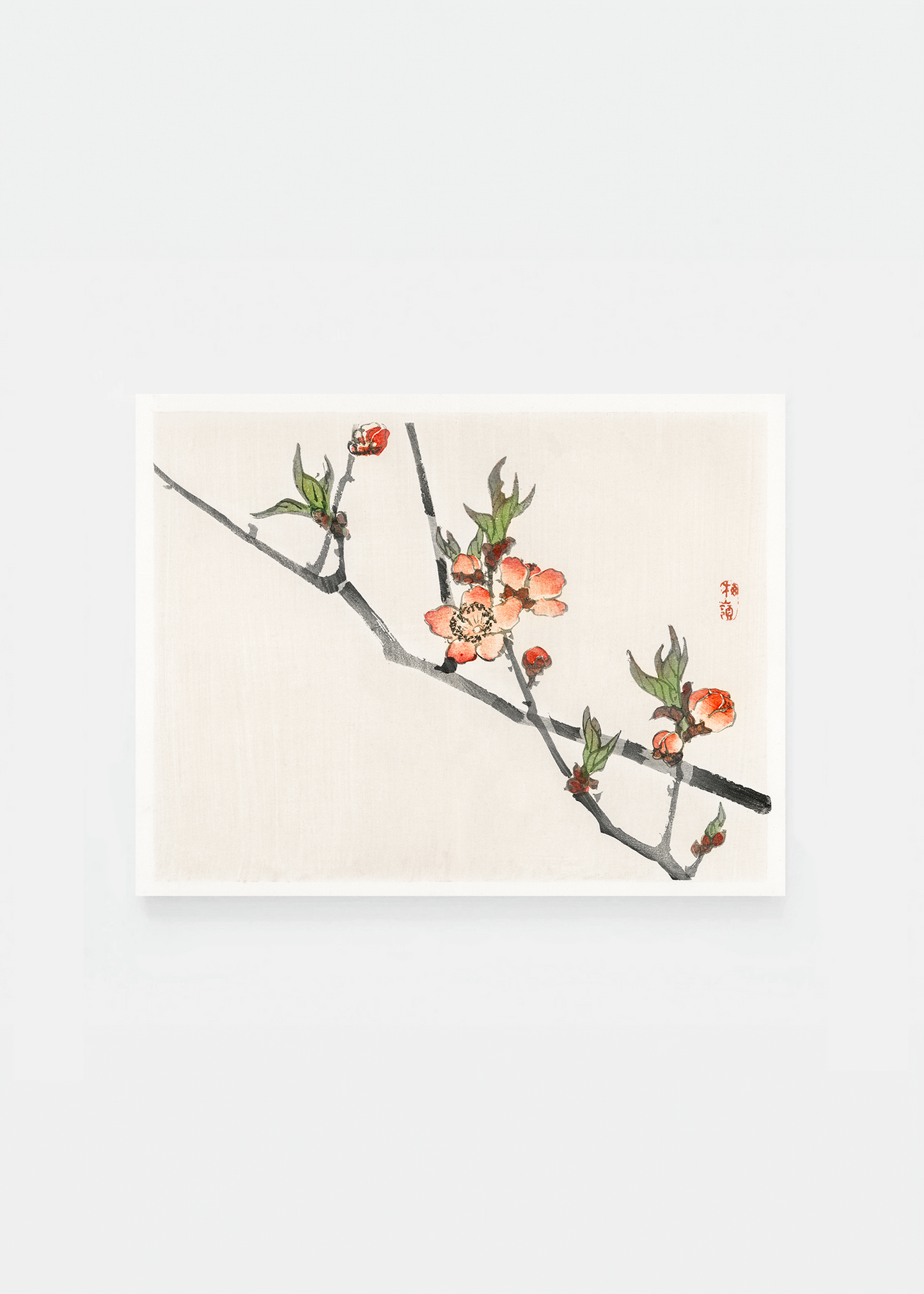 Peach blossom