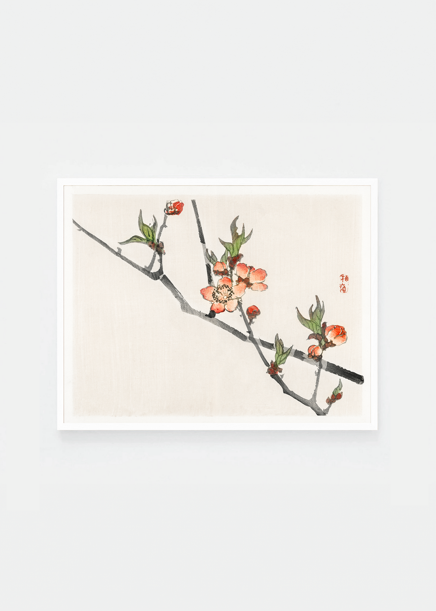 Peach blossom