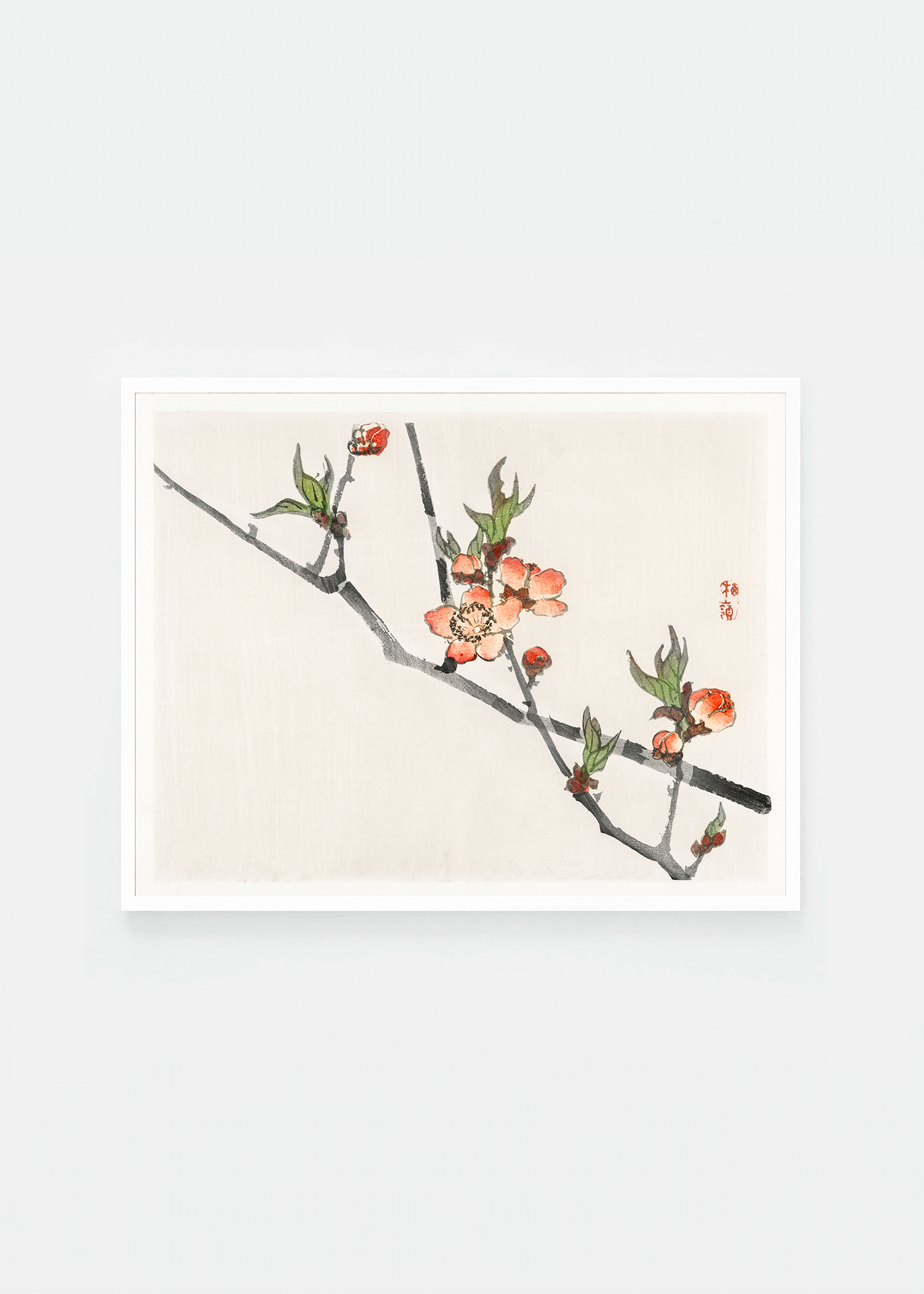 Peach blossom