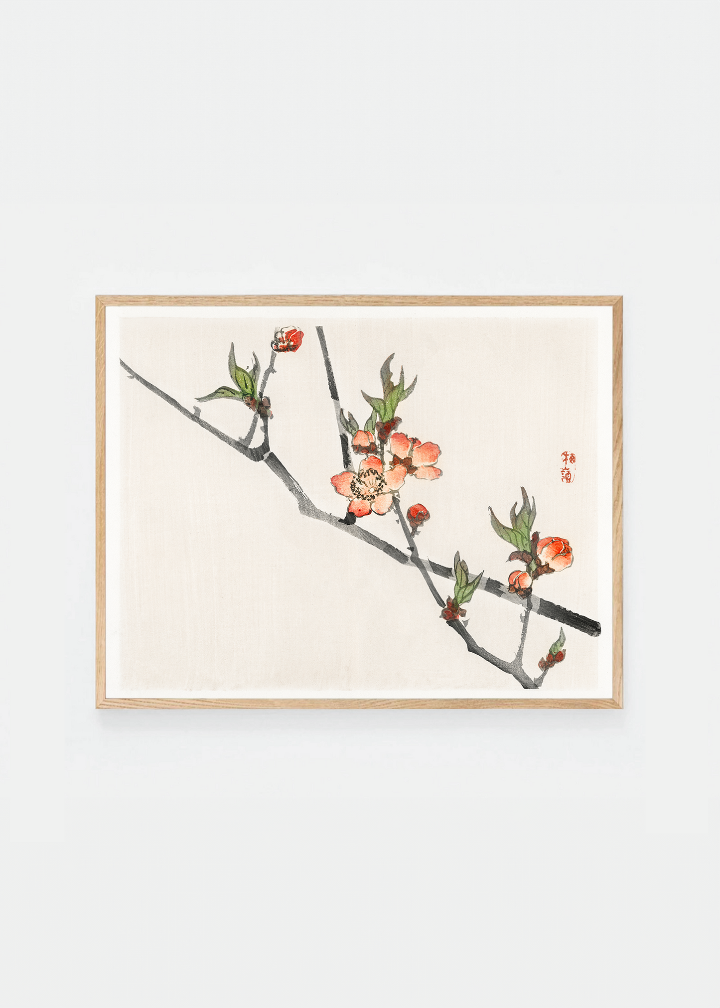 Peach blossom