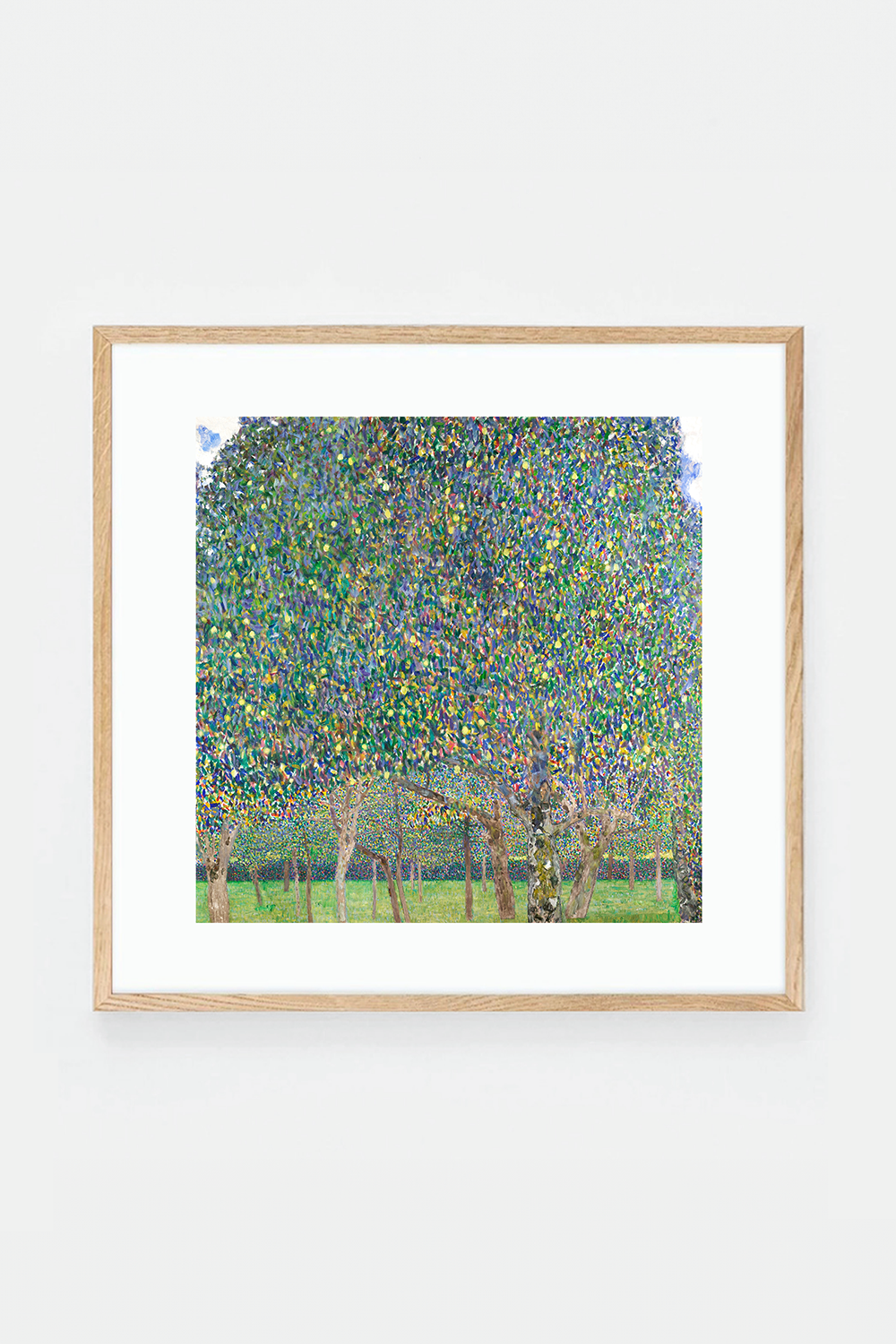 Pear Tree