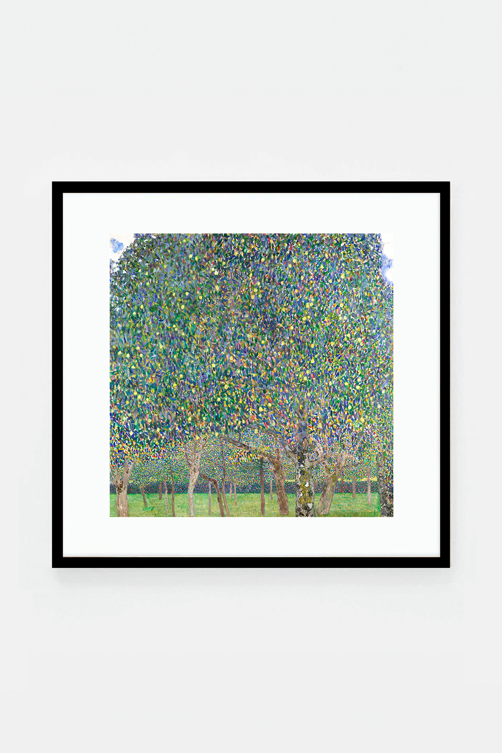 Pear Tree