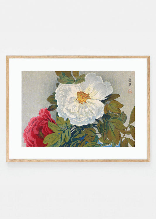 Peonies