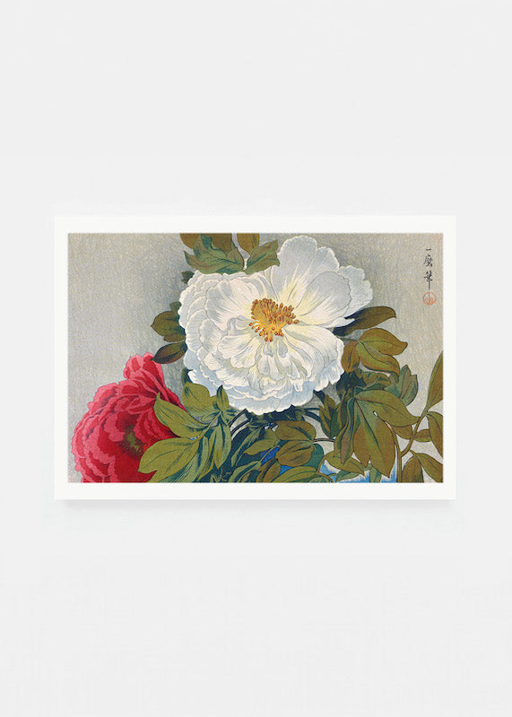 Peonies