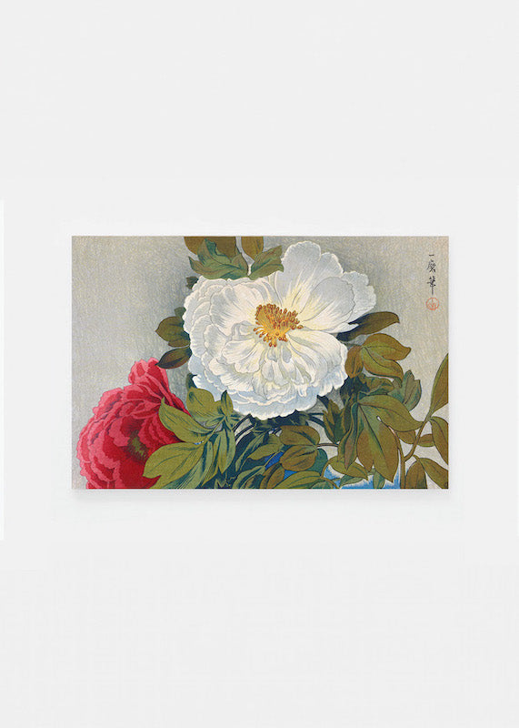 Peonies