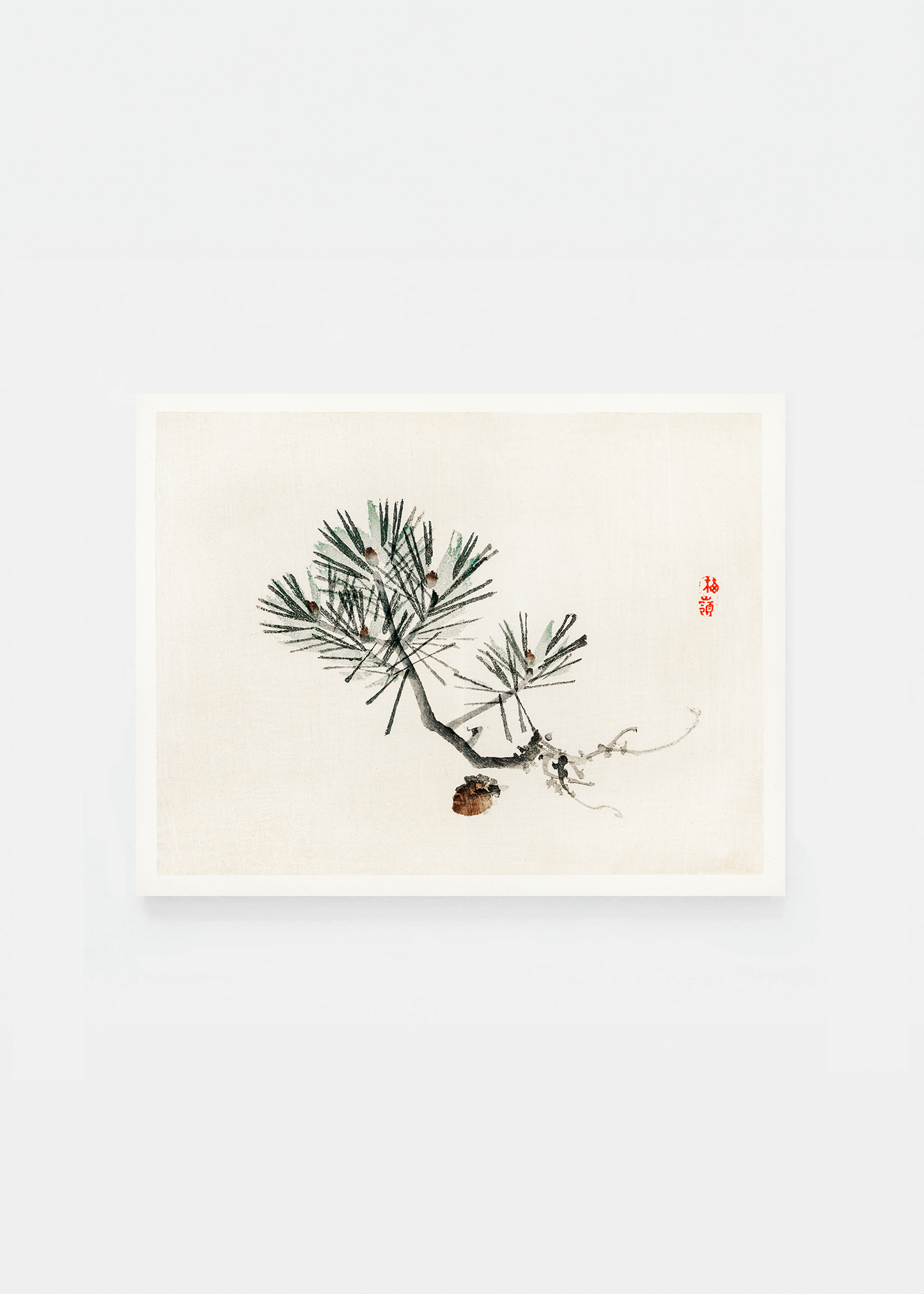 Pine