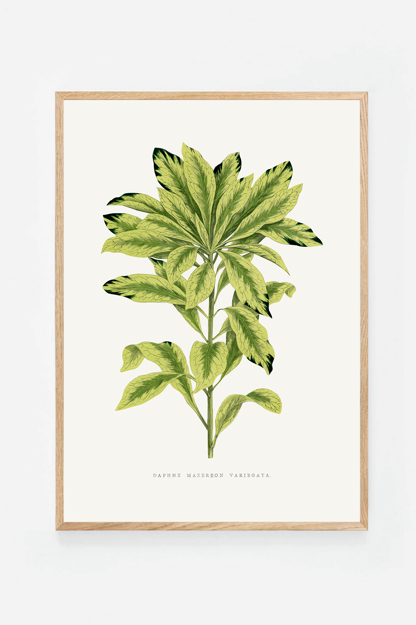 Plant I