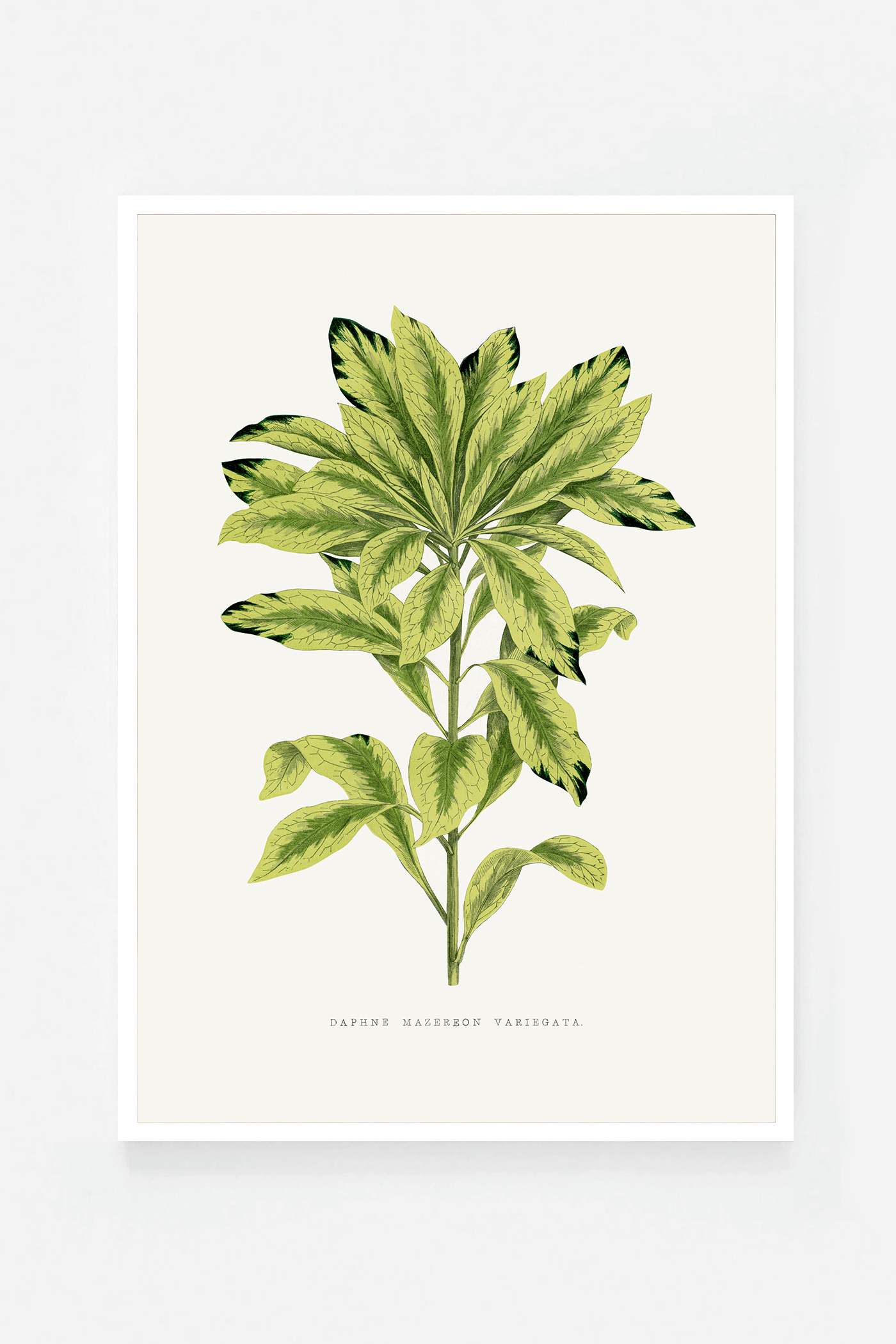 Plant I