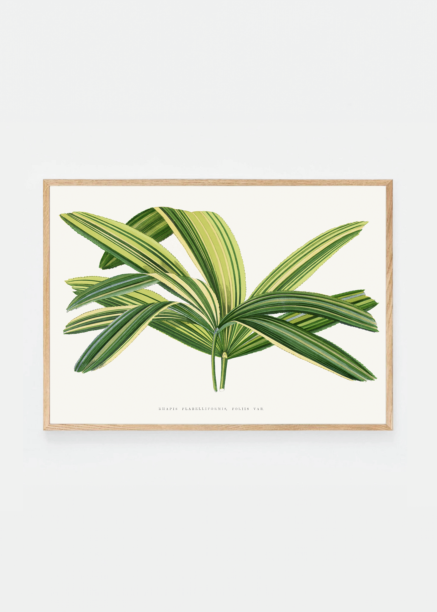 Plant V