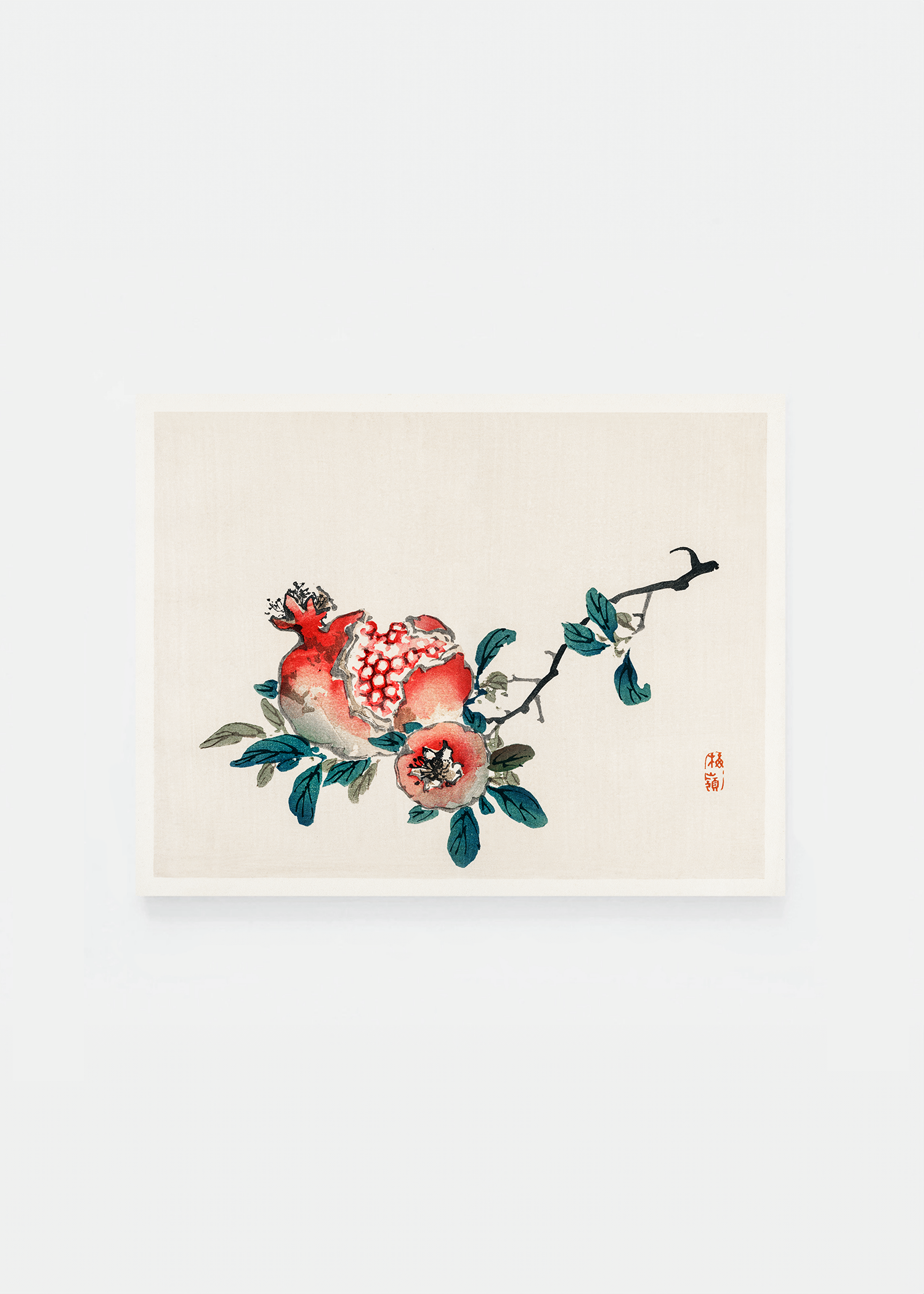 Pomegranate