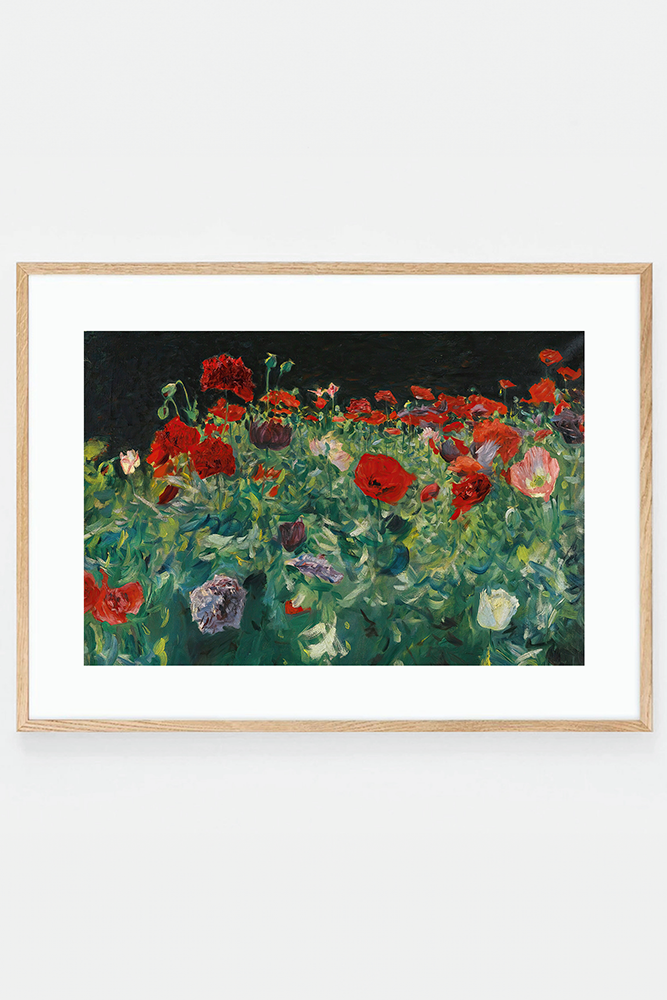 Poppies