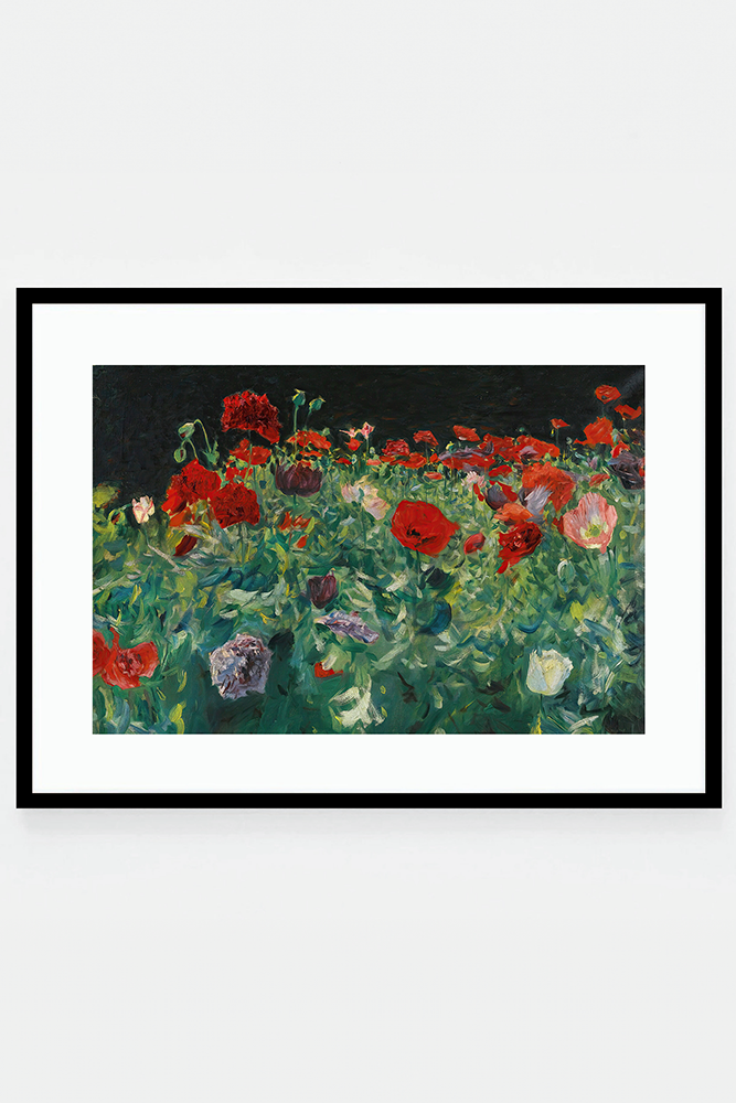 Poppies