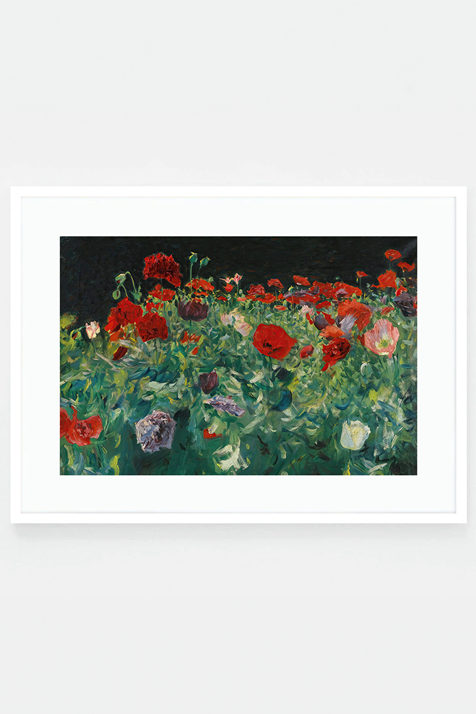 Poppies