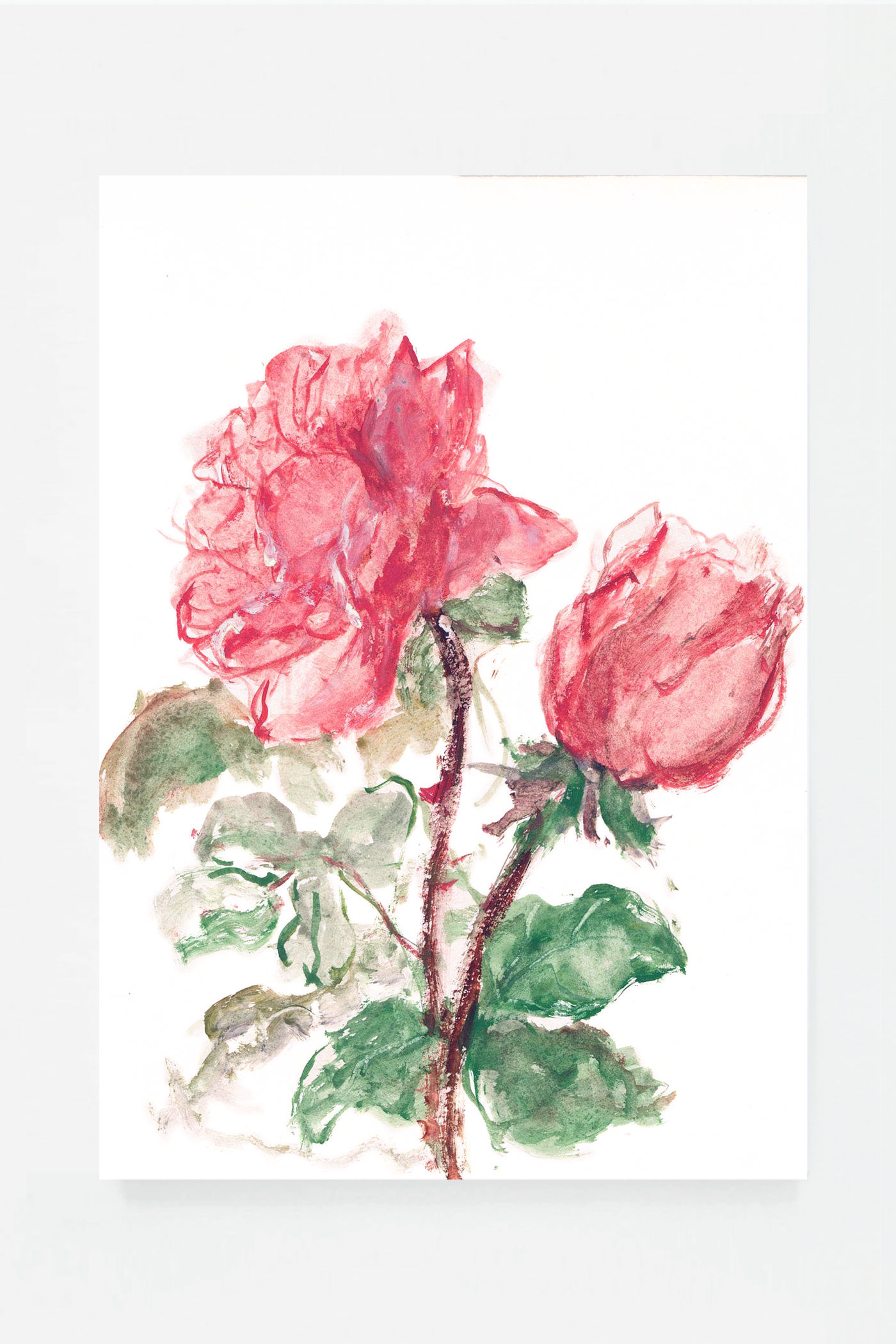 Rose II