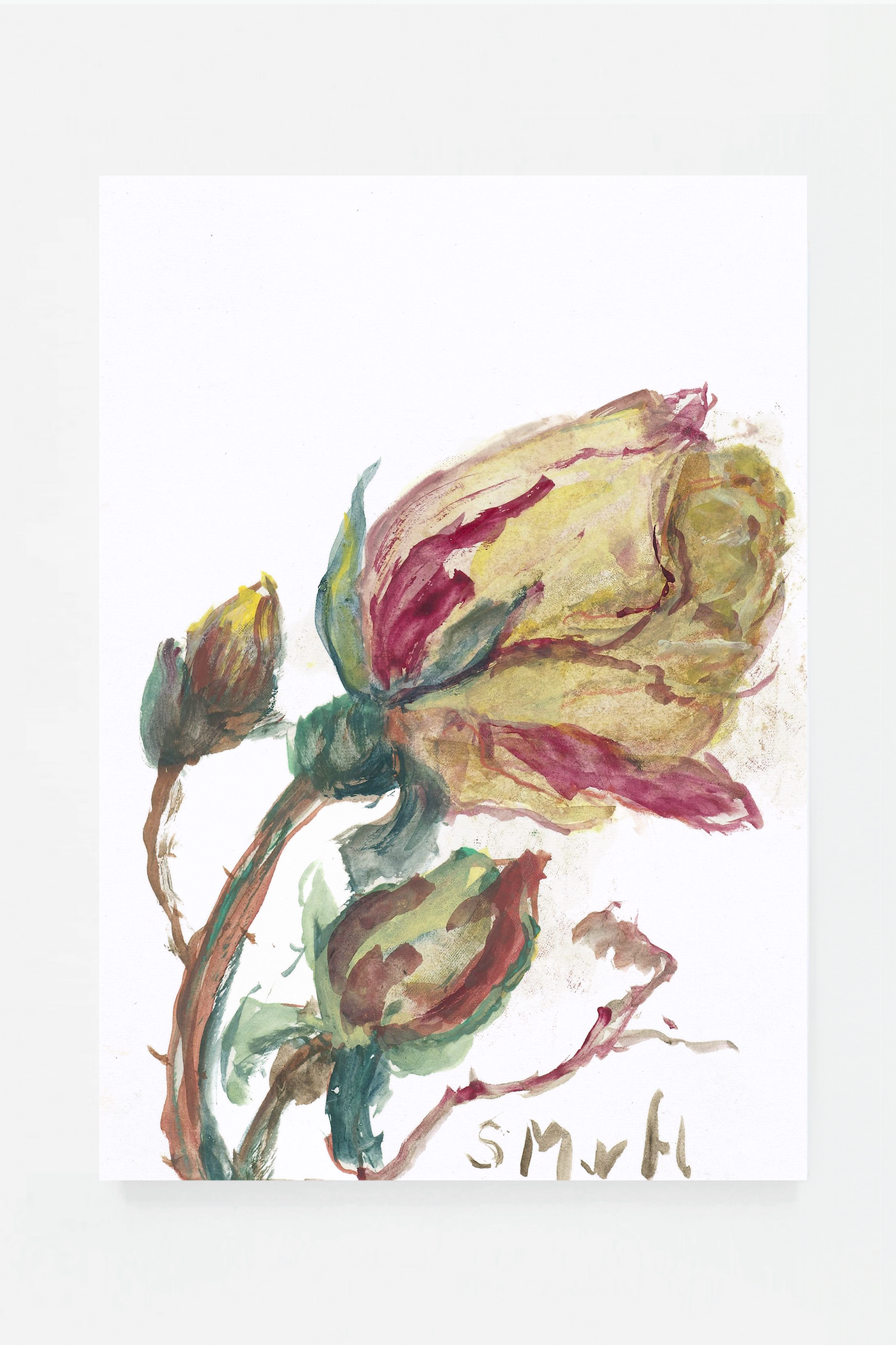 Rose I