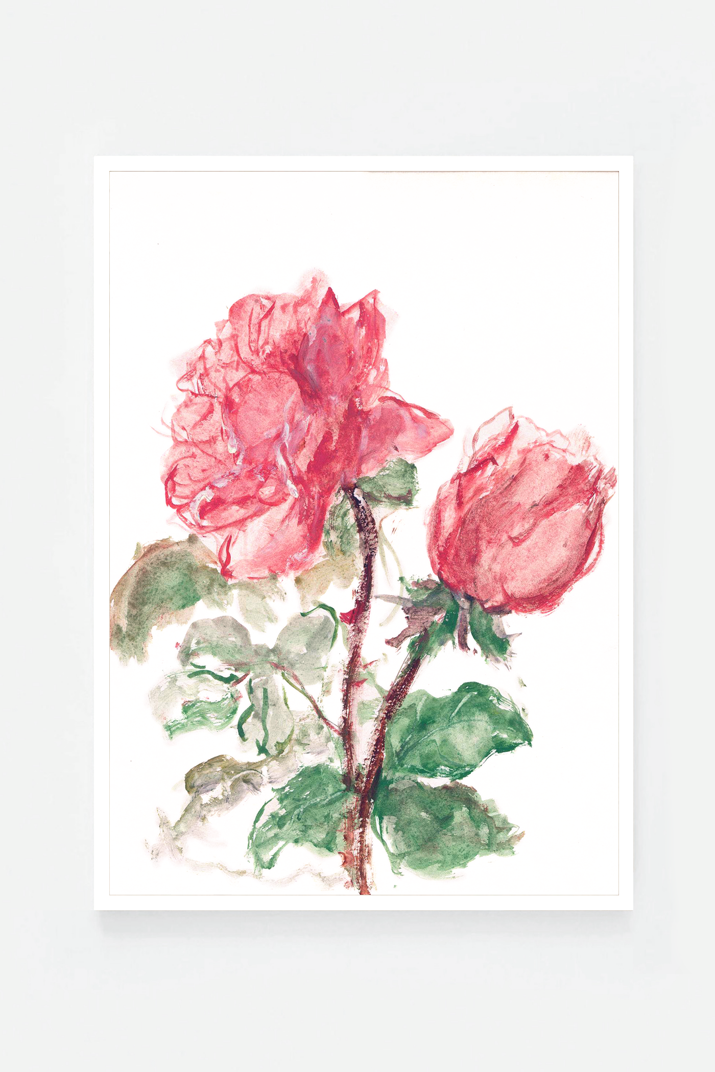 Rose II