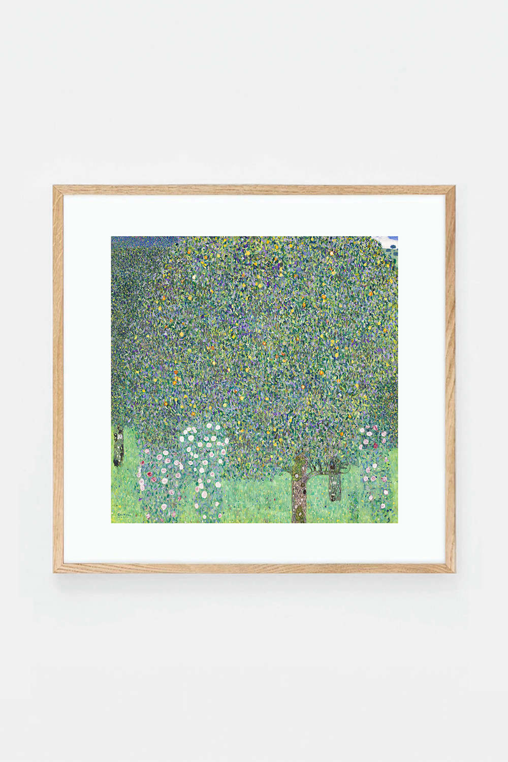 Rosebushes under the Trees