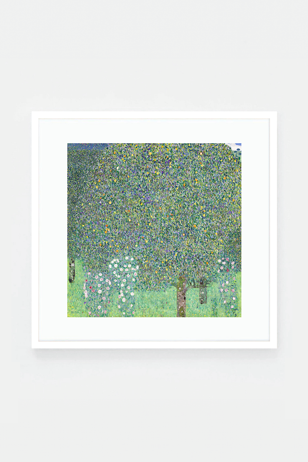 Rosebushes under the Trees