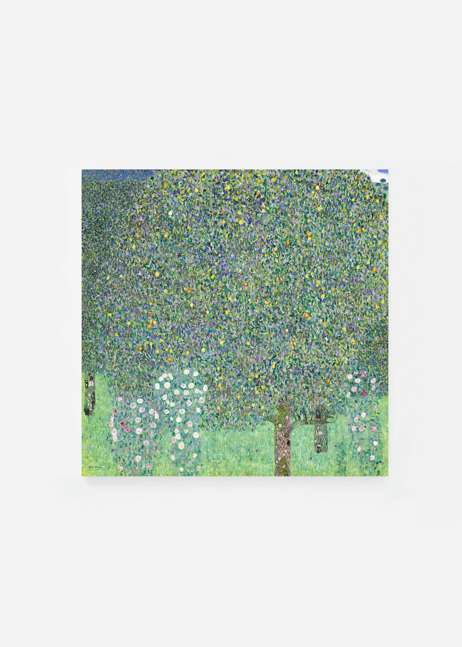 Rosebushes under the Trees