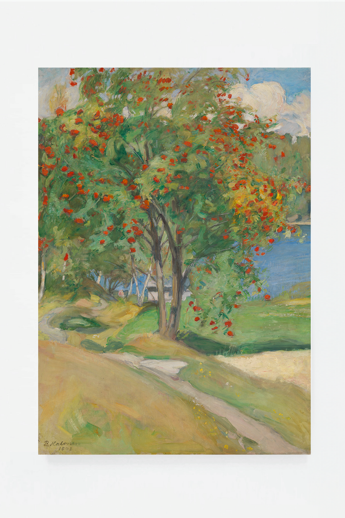 Rowan tree