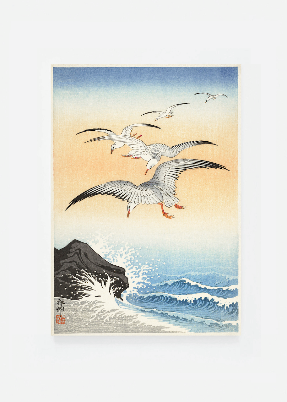 Seagull above turbulent sea