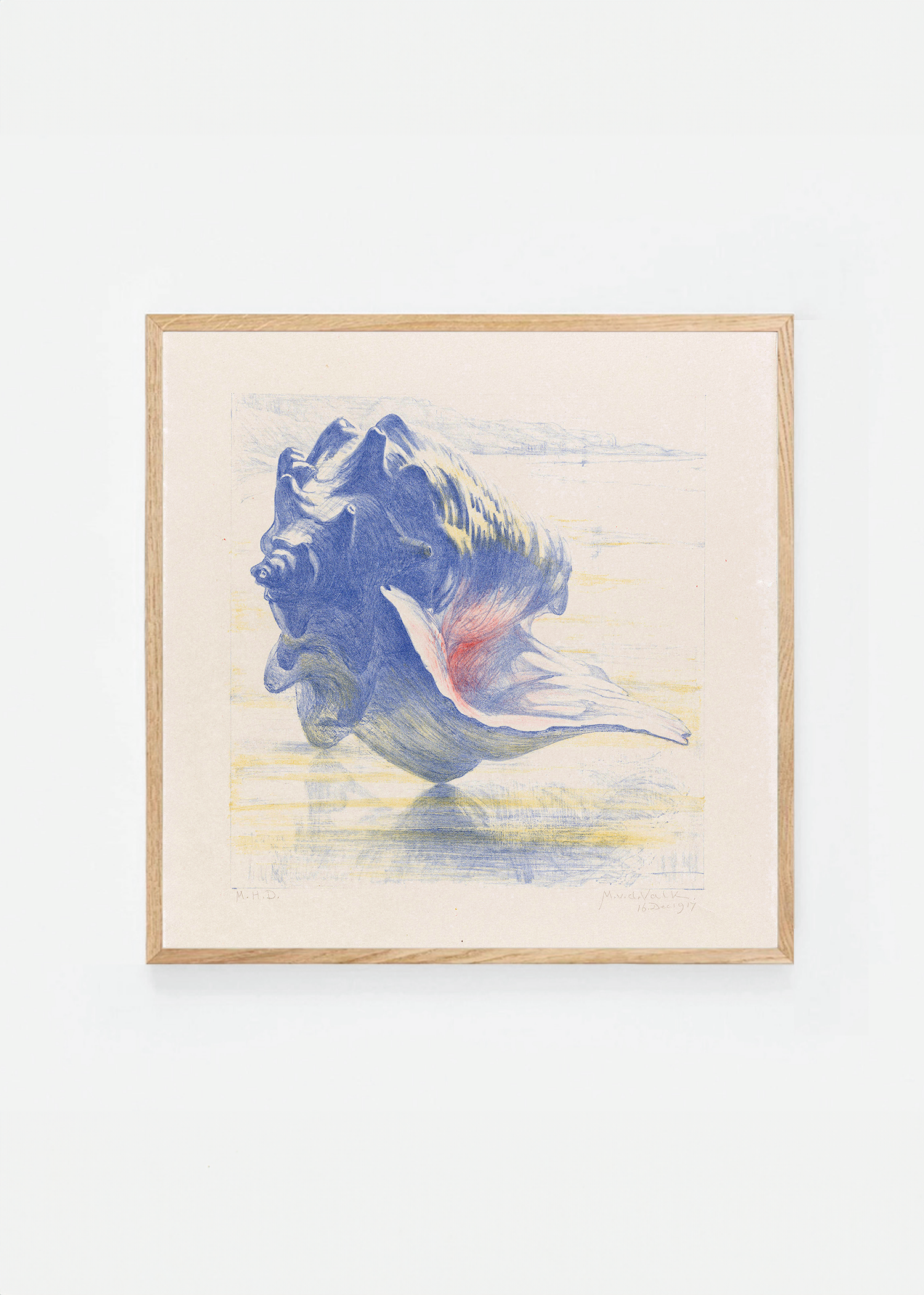 Shell II