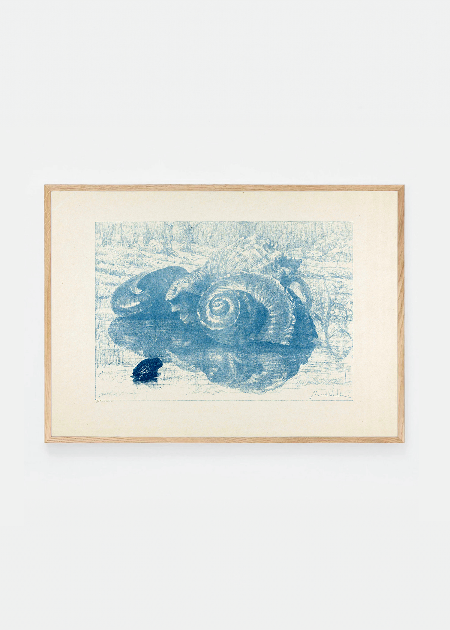 Shell III