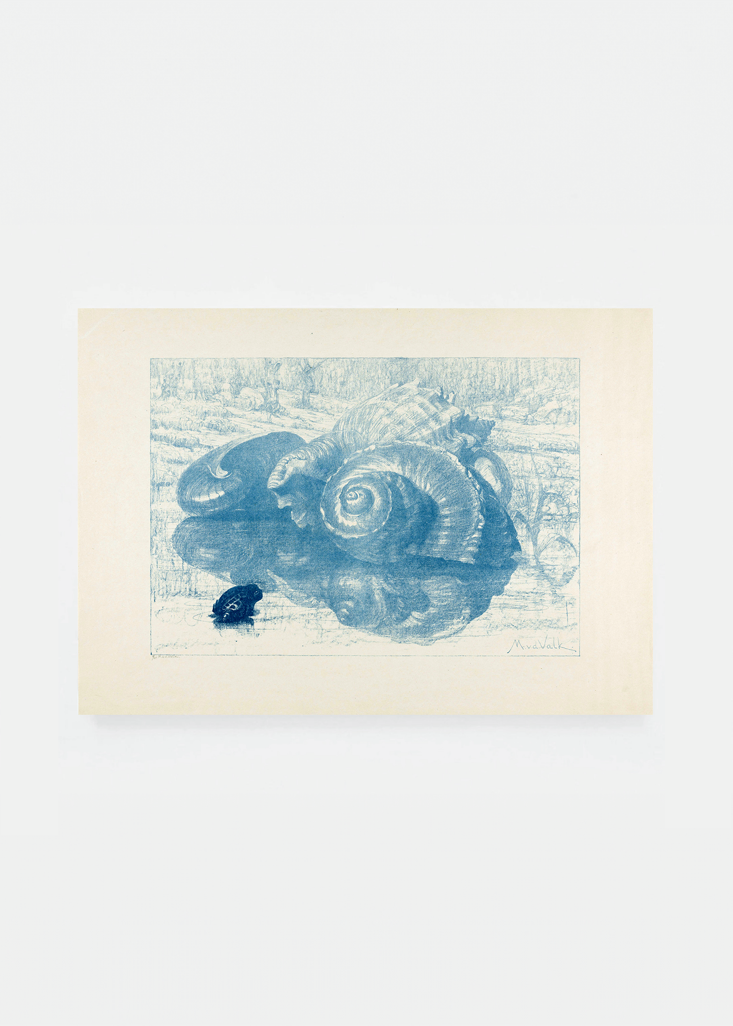 Shell III