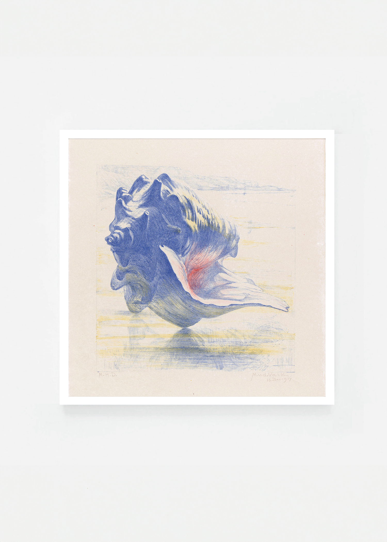 Shell II