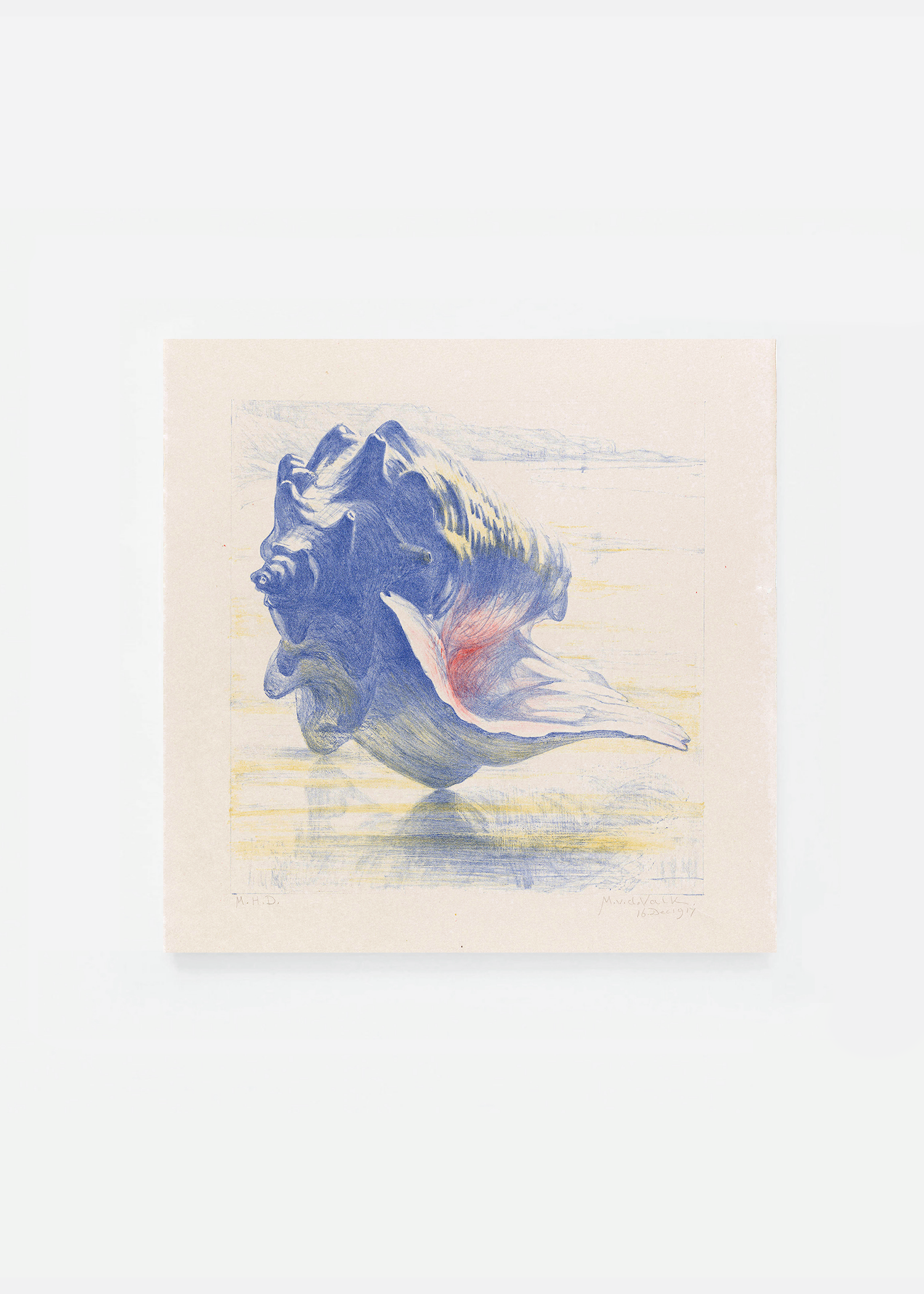 Shell II