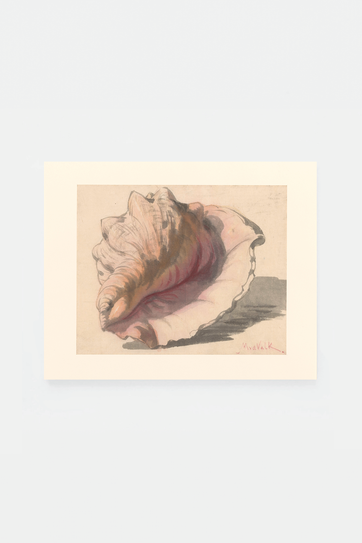 Shell