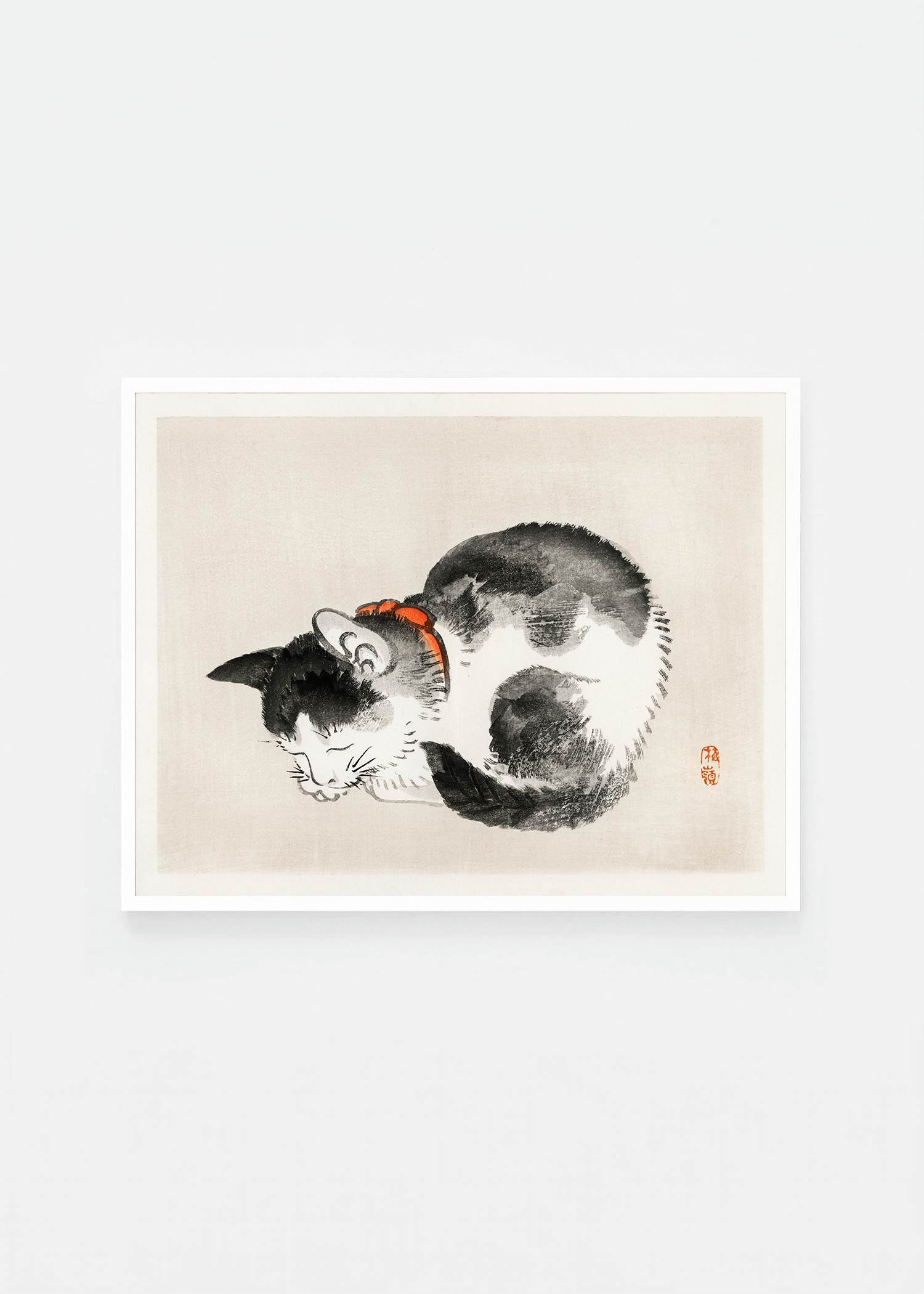Sleeping cat