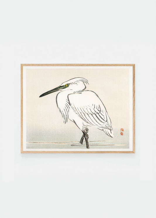 Egret