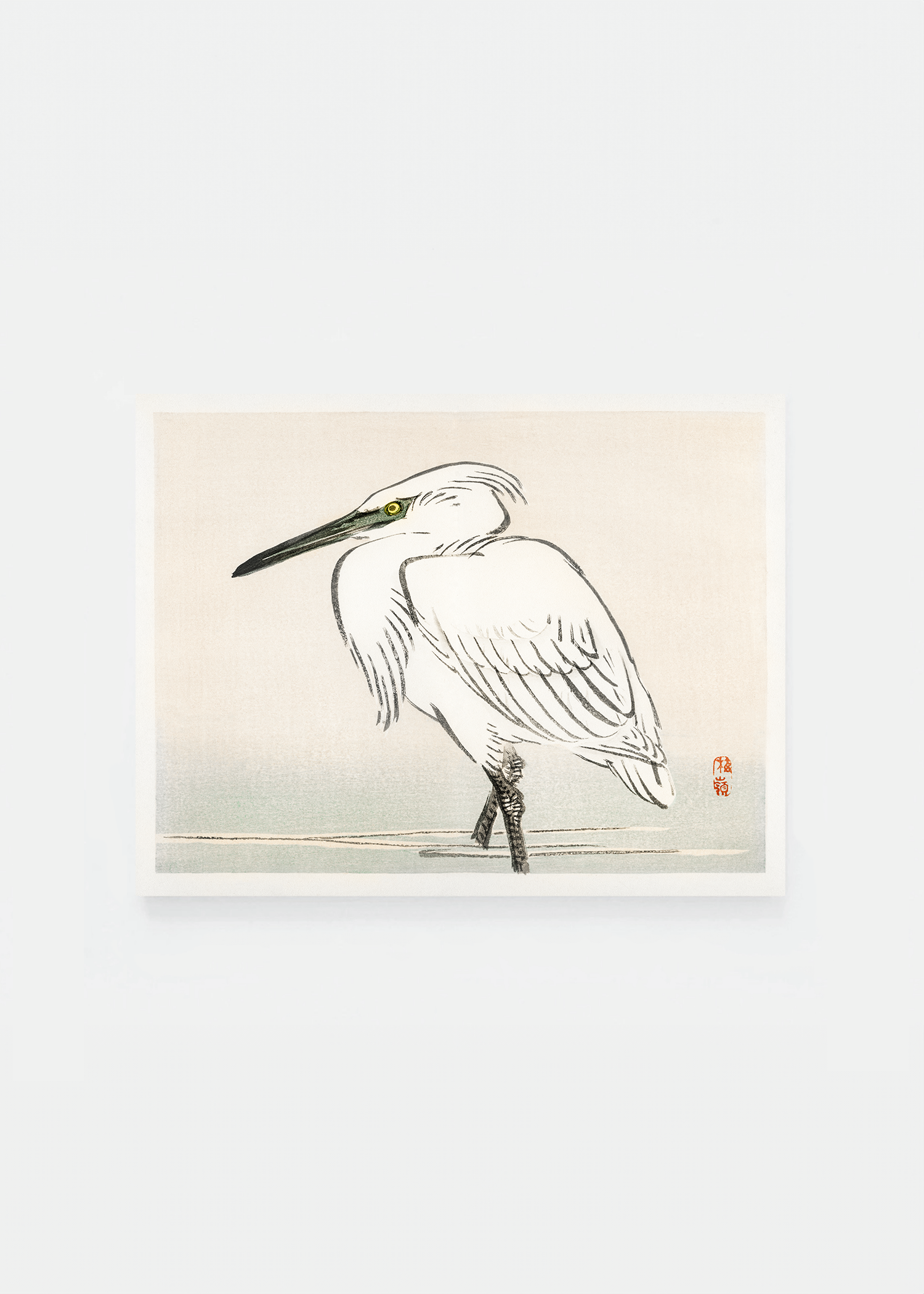 Egret