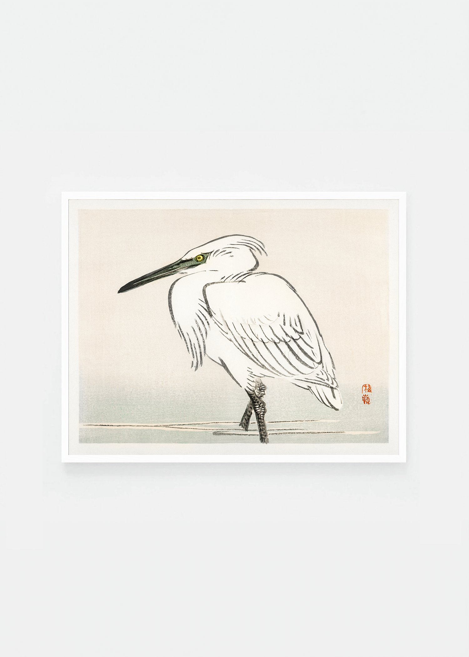 Egret