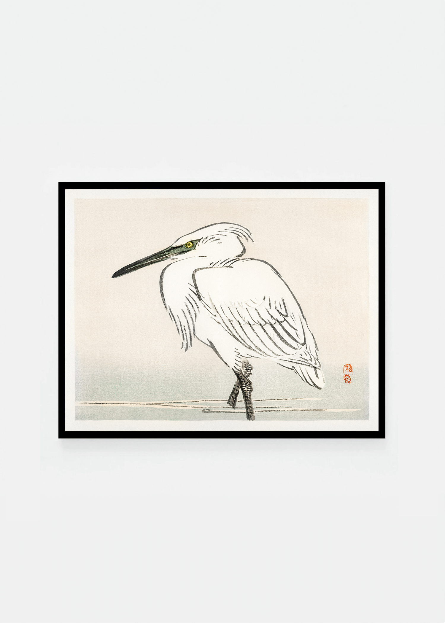 Egret