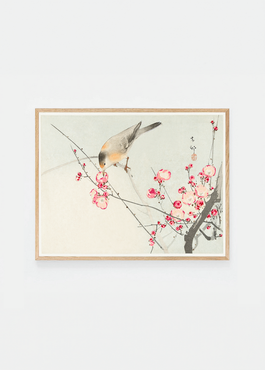 Bird on blossom branch