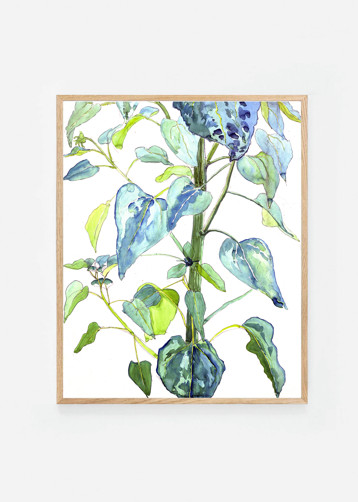 Stalk and Leaves of a Sunflower