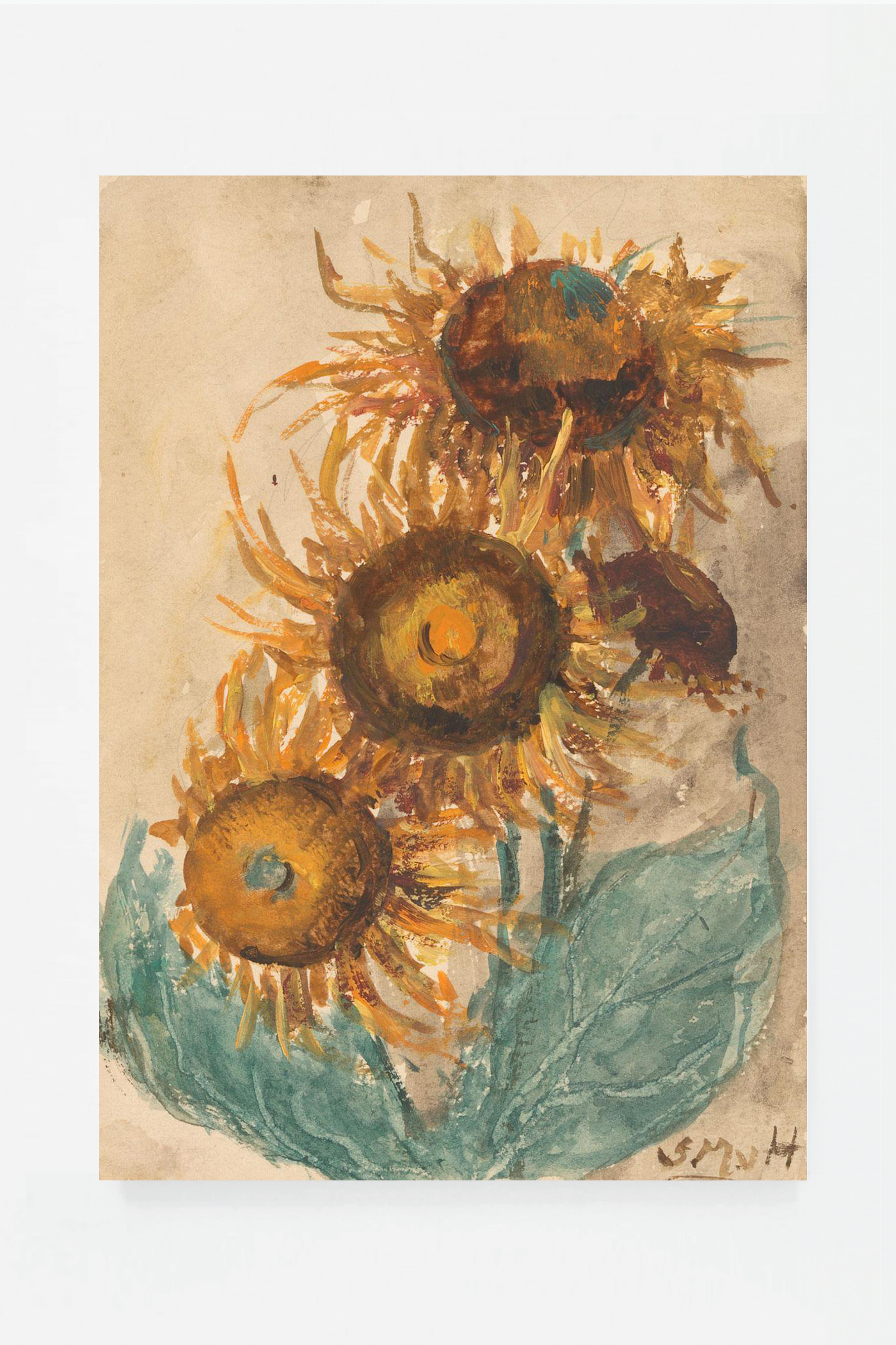 Sunflowers